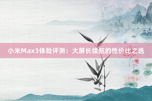 小米Max3体验评测：大屏长续航的性价比之选